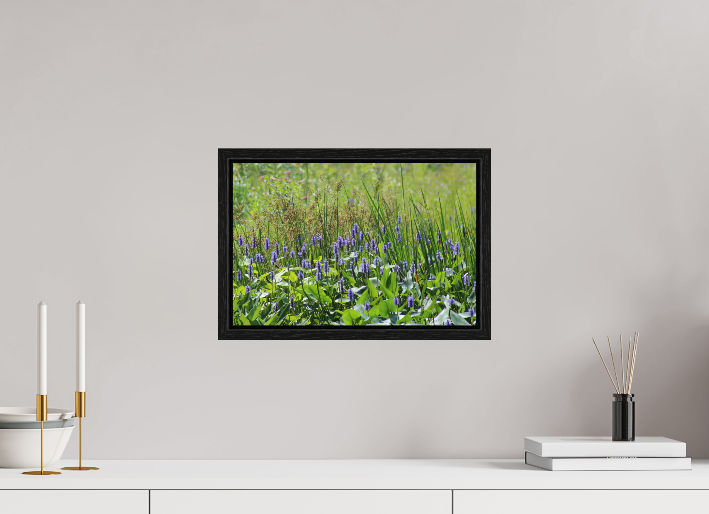 15 x 10″, Floater Frame Pickeralweed pond