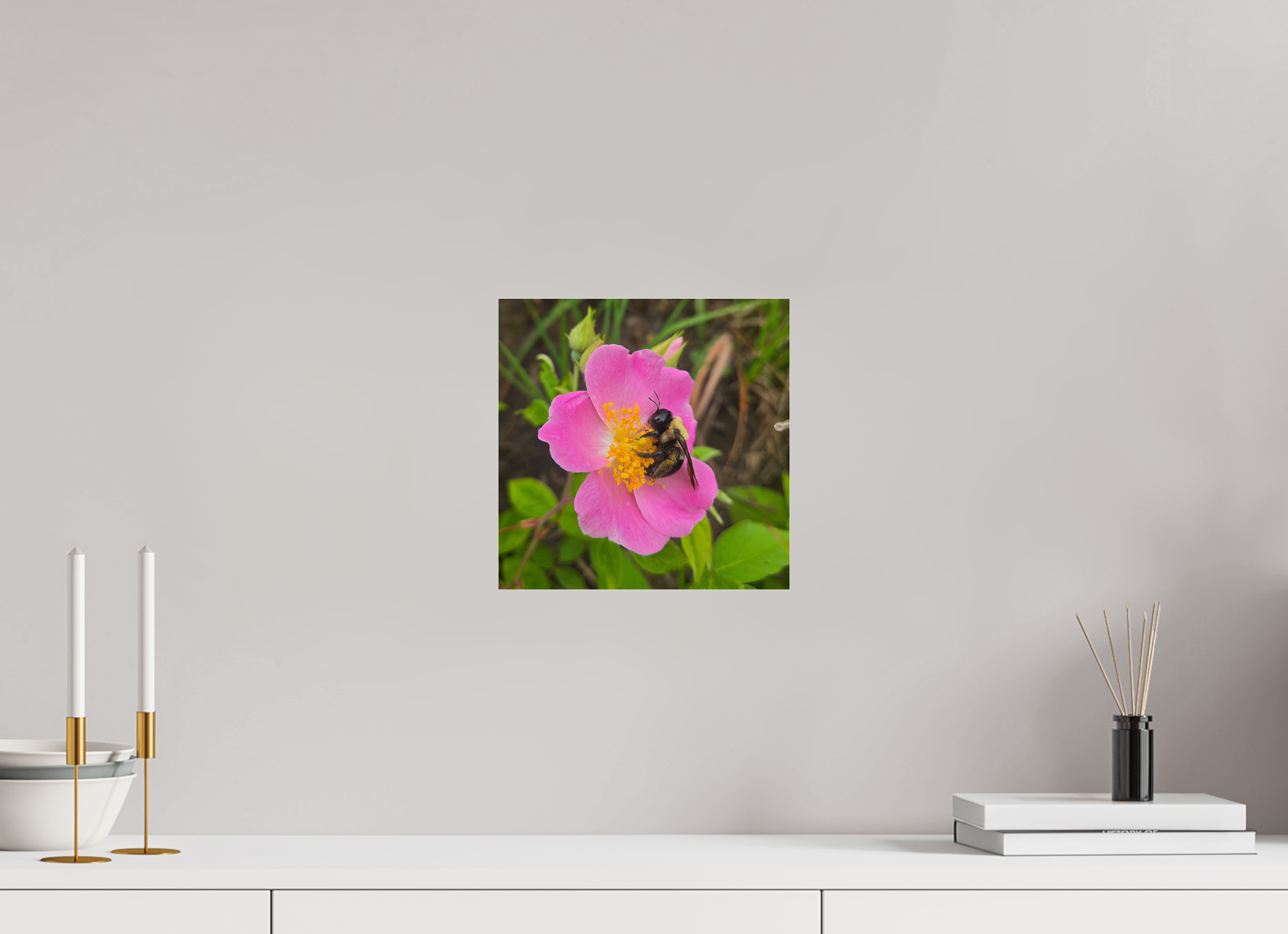 10 x 10″, Photo Print Under Acrylic Glass Pollinator at restt