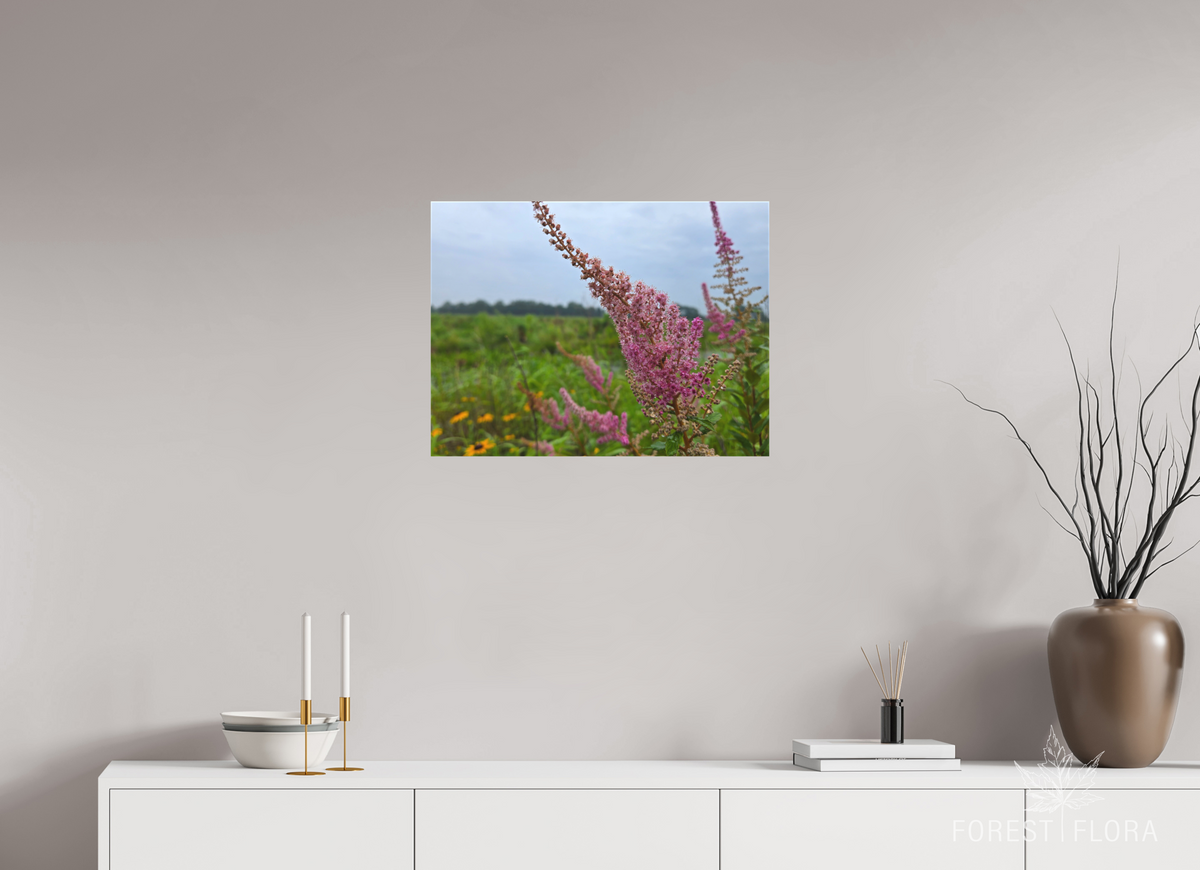 24 x 18″, canvas wrap Spireae Spires