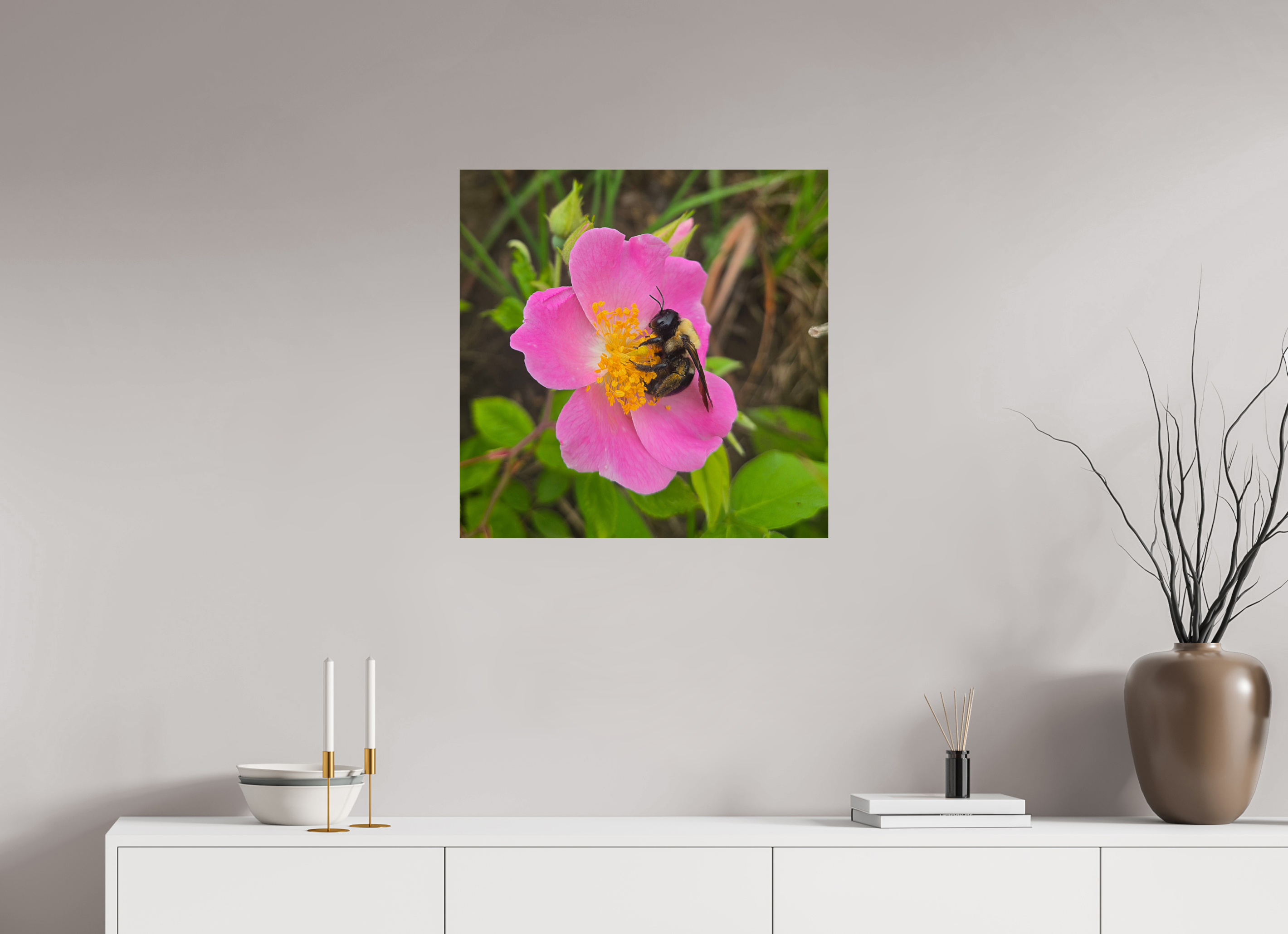 25 x 25″, Photo Print On Fuji Crystal DP II Pollinator at restt