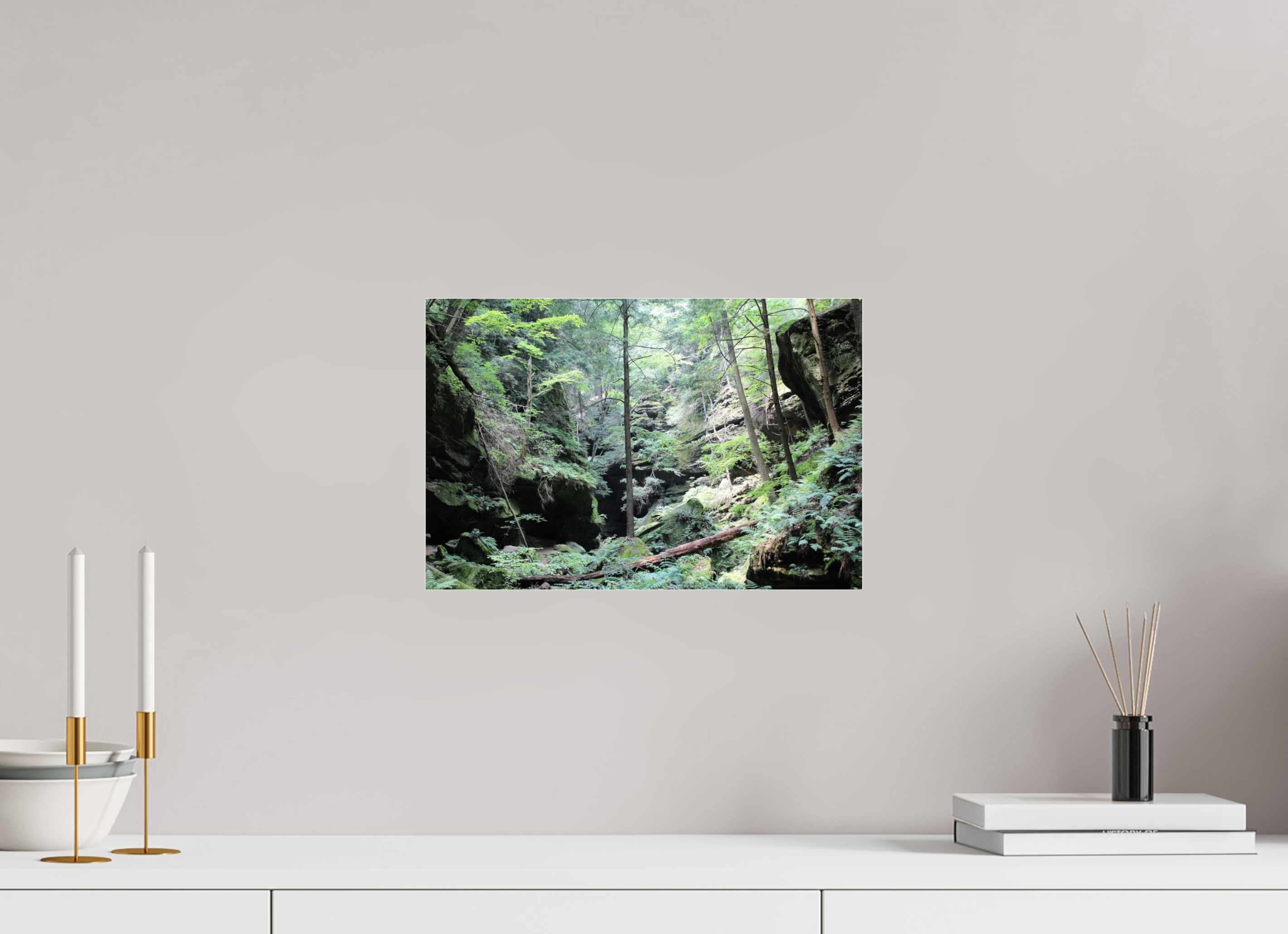 15 x 10″, Photo Print Under Acrylic Glass Woodland trek