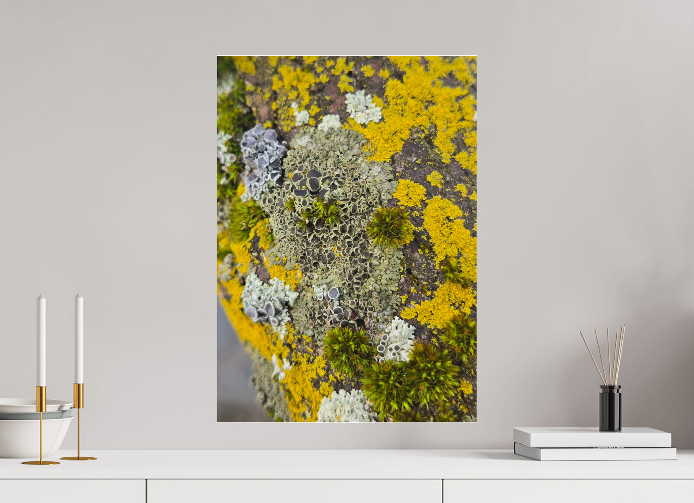 ISO A2 (42 x 59,4 cm), Photo Print Under Acrylic Glass Patchwork mosaic