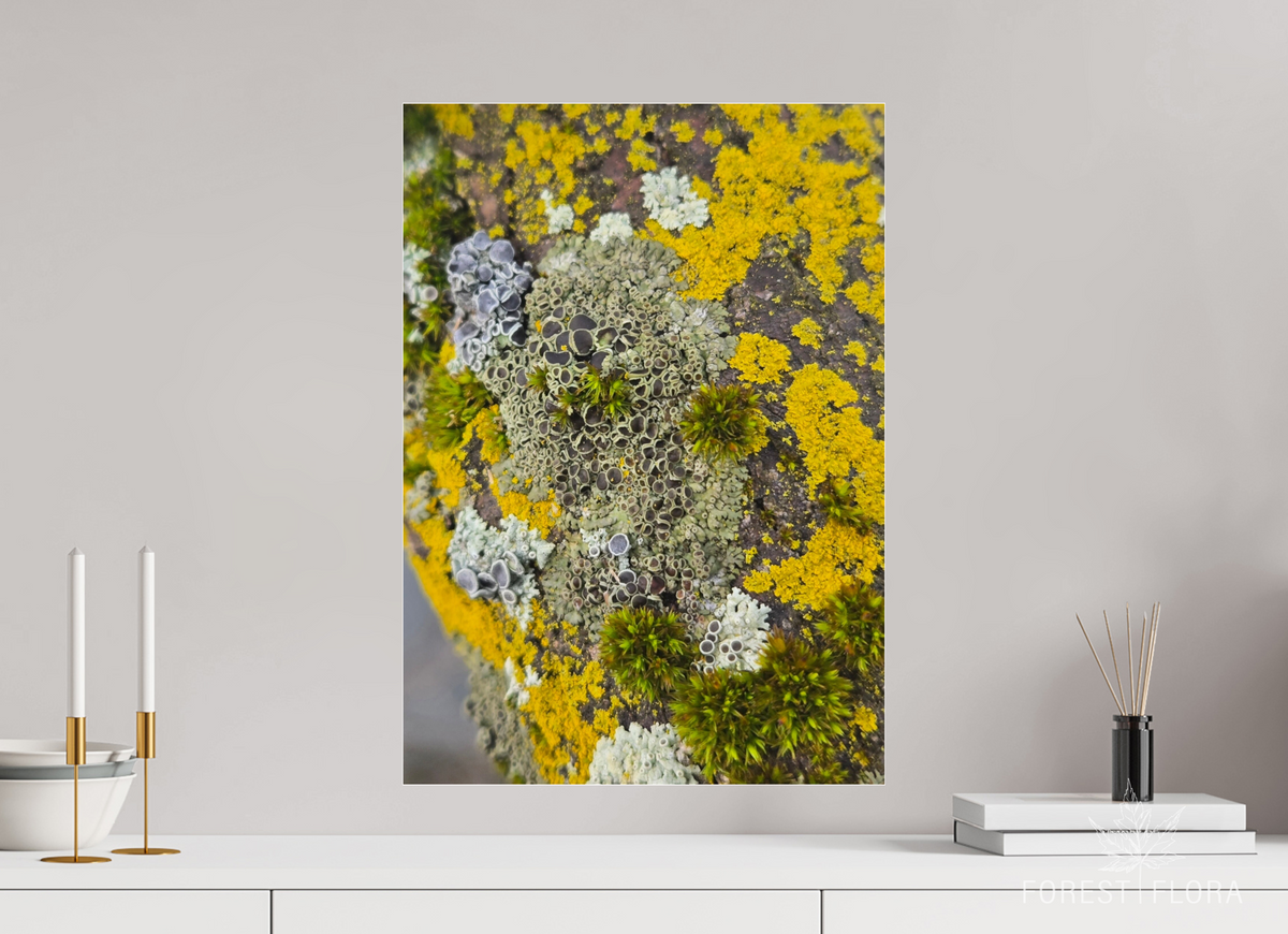 ISO A2 (42 x 59,4 cm), Photo Print Under Acrylic Glass Patchwork mosaic