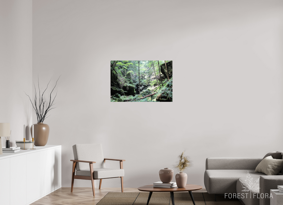 36 x 24″, Photo Print On Fuji Crystal DP II Woodland trek