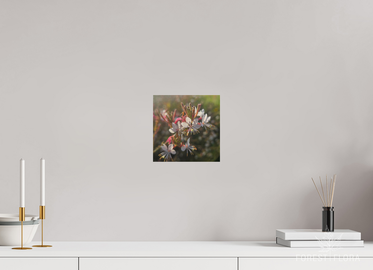 8 x 8″, Photo Print Under Acrylic Glass Morning light