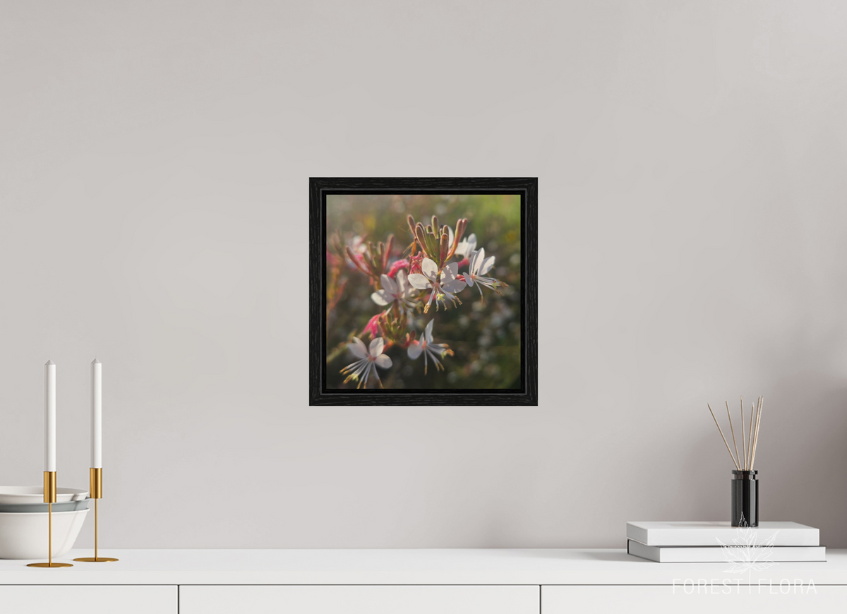 10 x 10″, Floater Frame Morning light