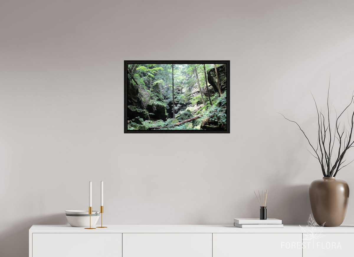 24 x 16″, Floater Frame Woodland trek