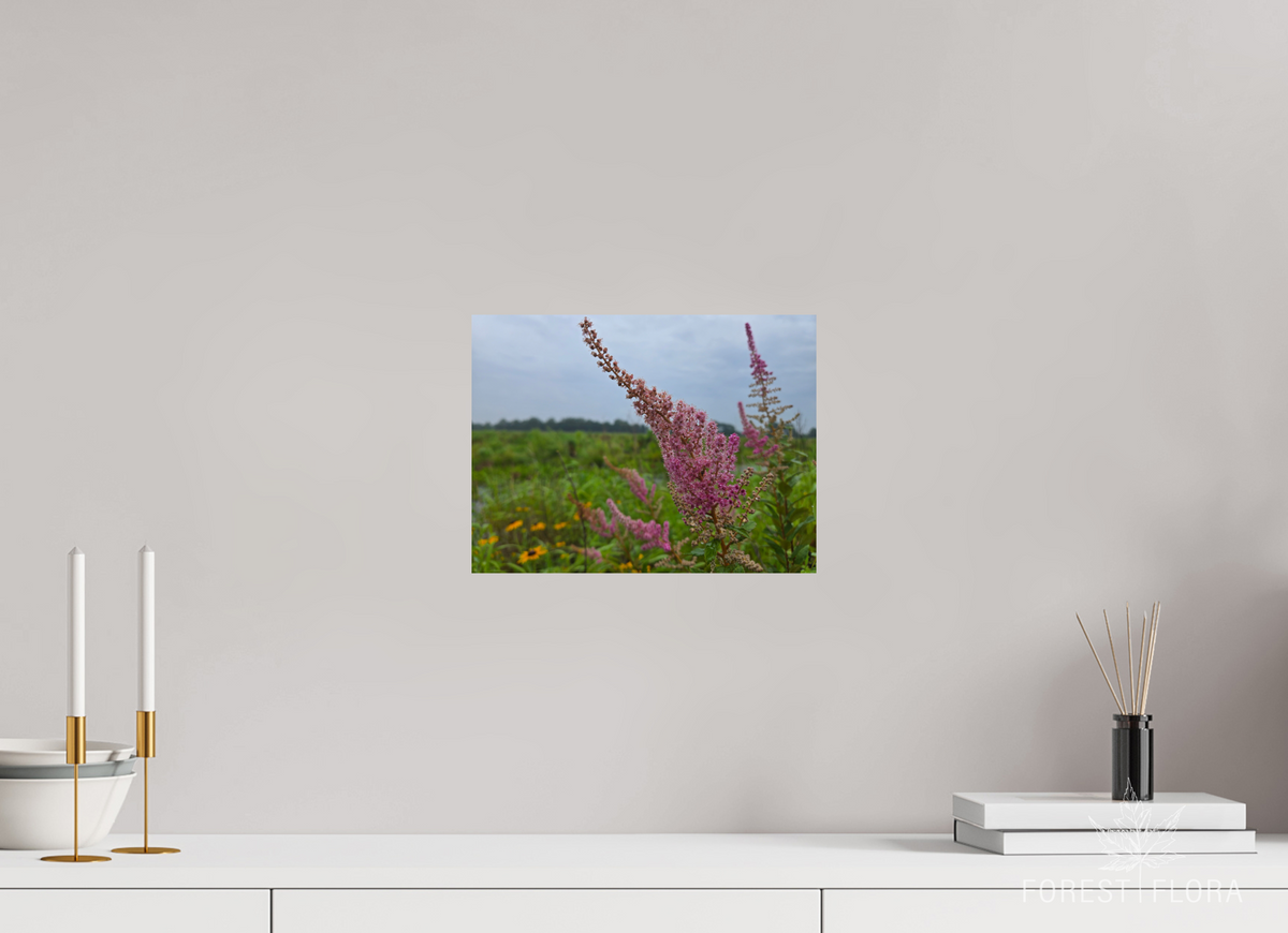 12 x 9″, Photo Print On Fuji Crystal DP II Spireae Spires