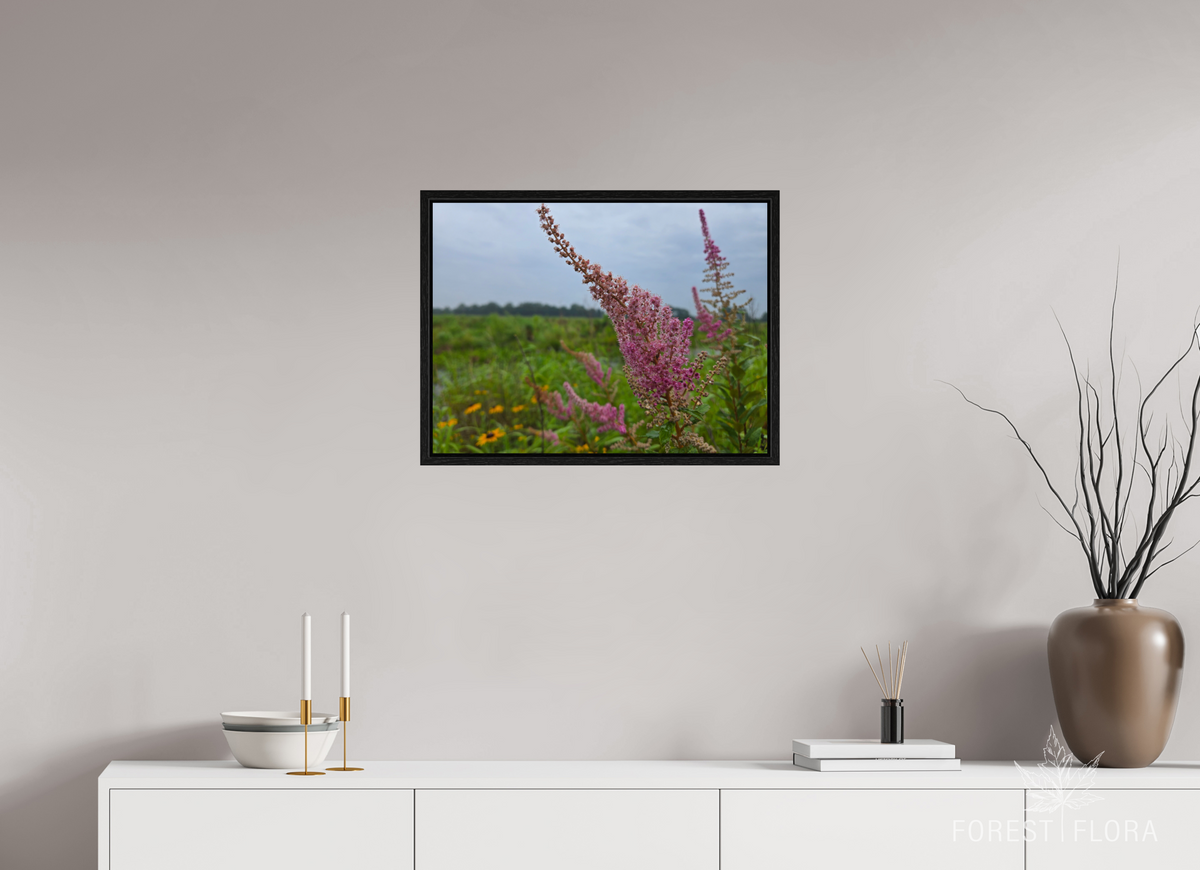 24 x 18″, Floater Frame Spireae Spires
