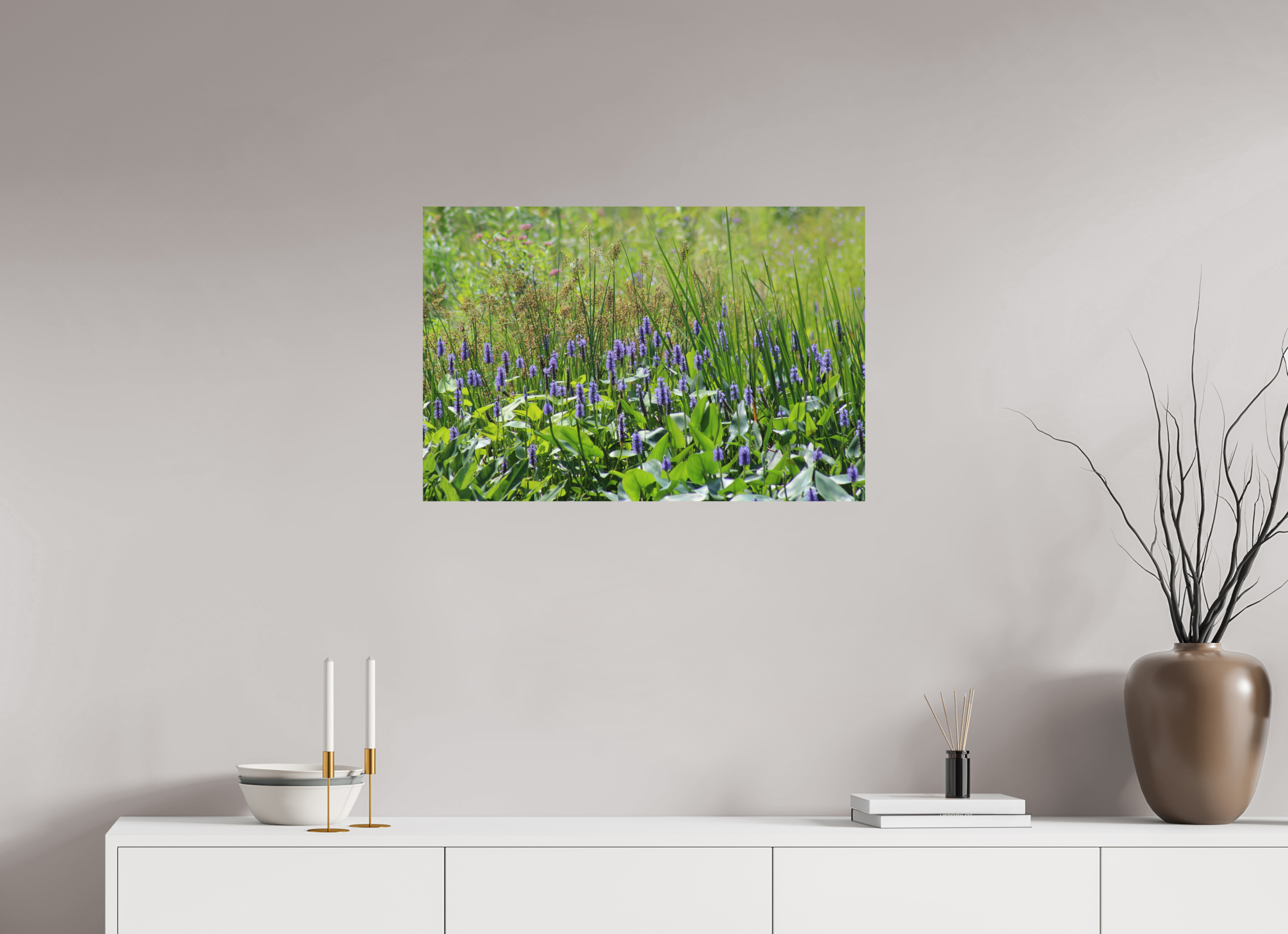 30 x 20″, Photo Print On Fuji Crystal DP II Pickeralweed pond