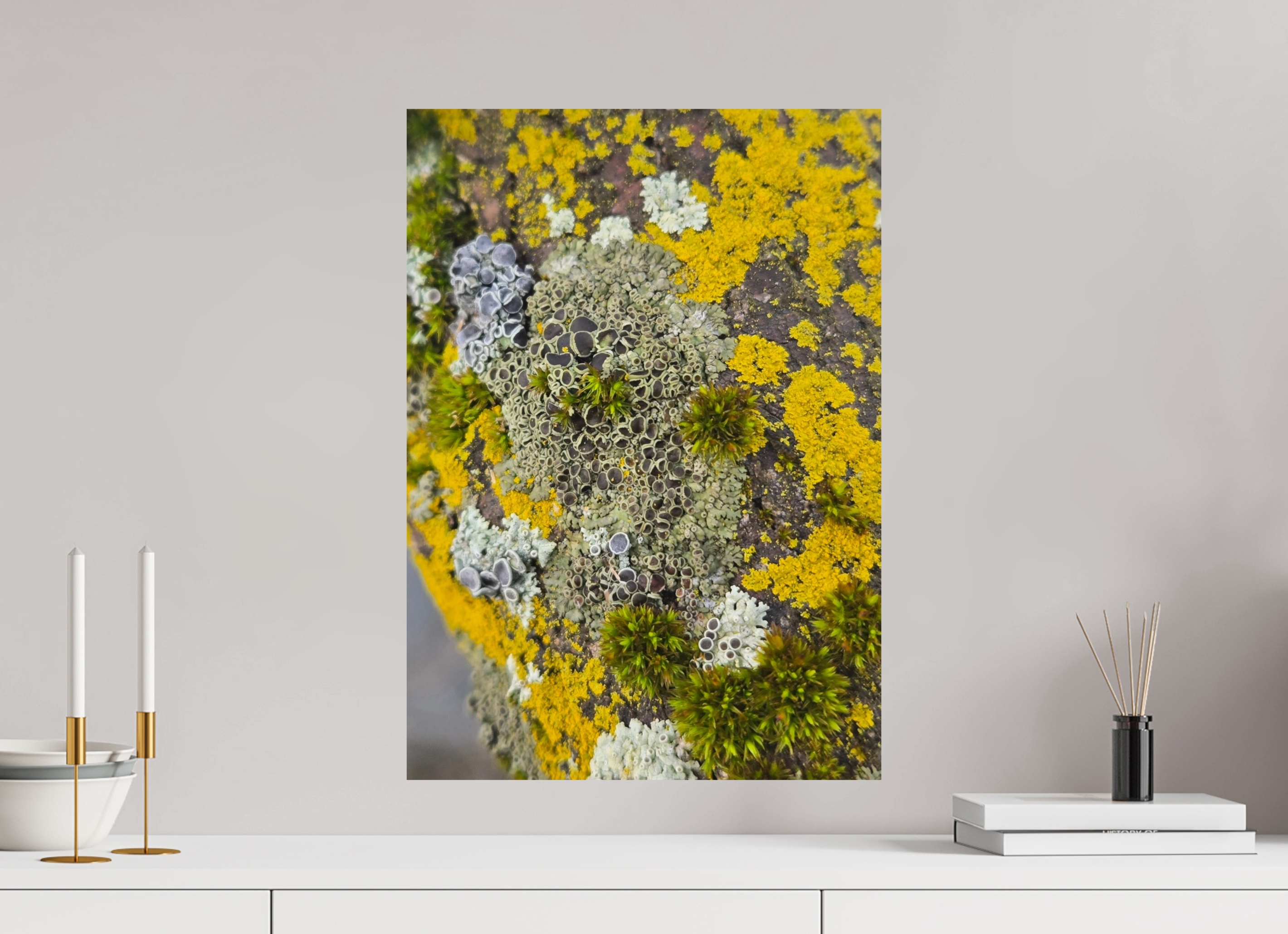 ISO A2 (42 x 59,4 cm), Photo Print On Fuji Crystal DP II Patchwork mosaic