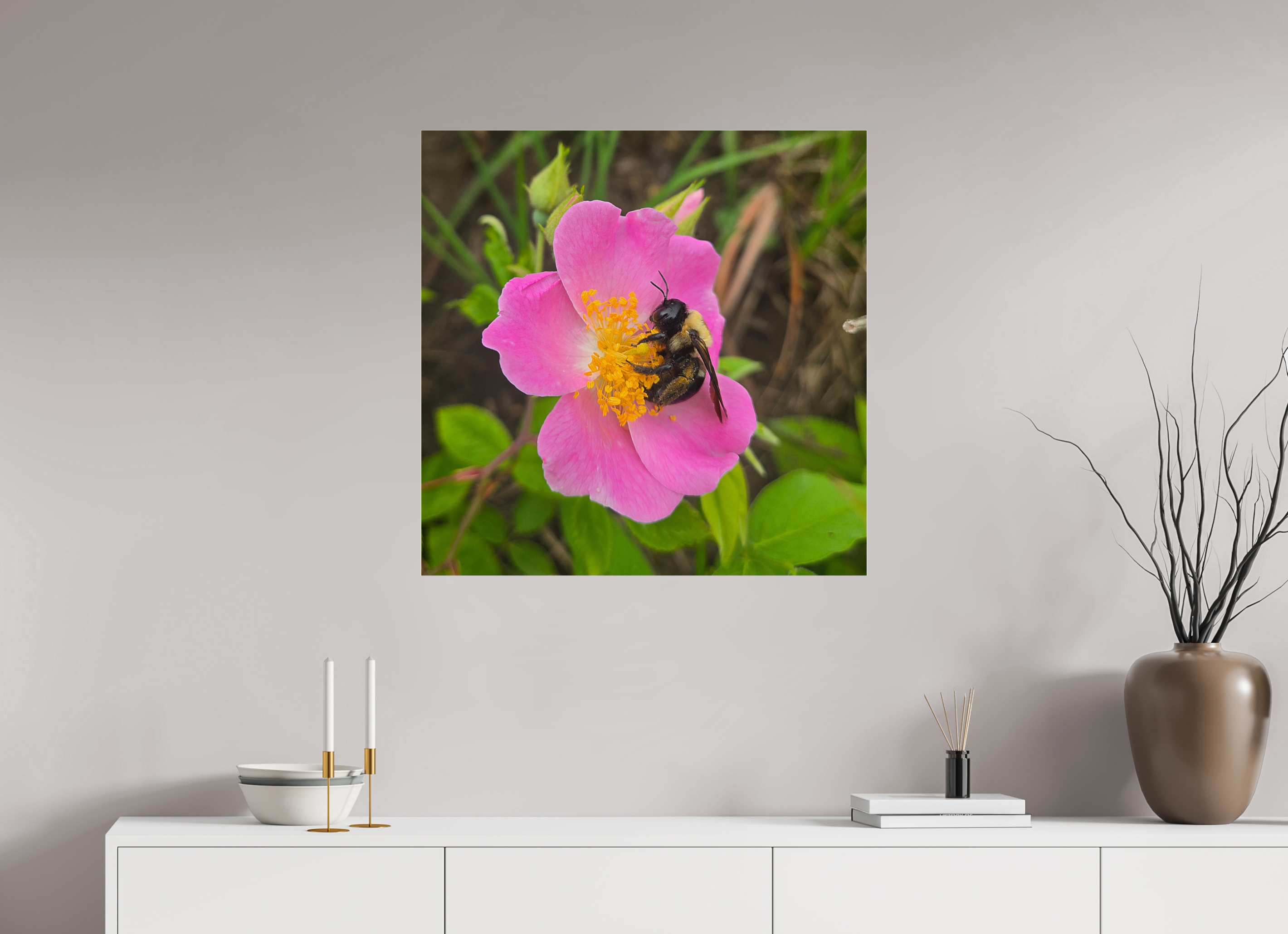 30 x 30″, Photo Print Under Acrylic Glass Pollinator at restt