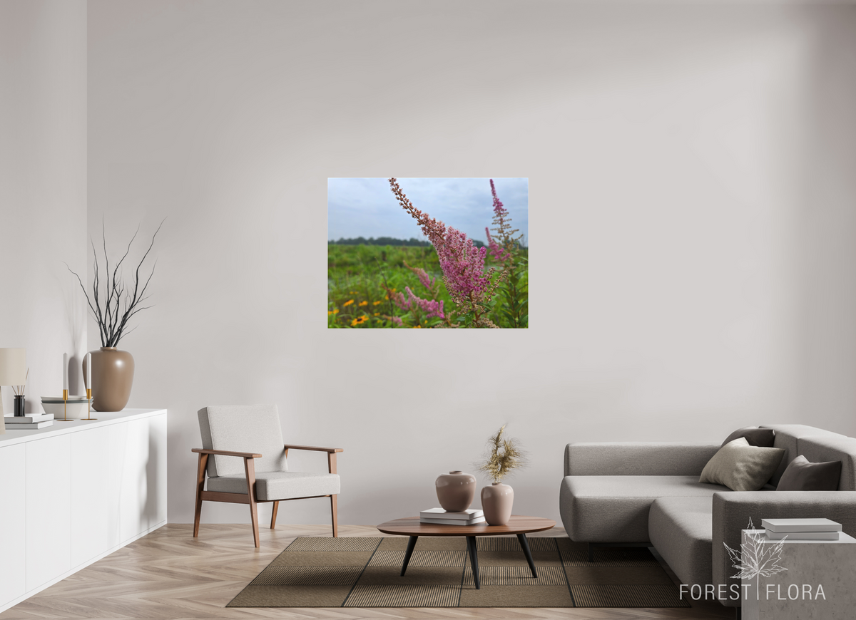 48 x 36″, canvas wrap Spireae Spires