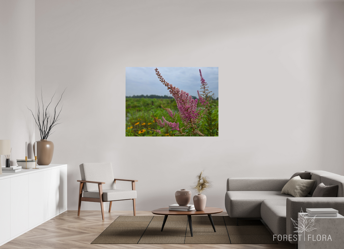 56 x 42″, Photo Print On Fuji Crystal DP II Spireae Spires