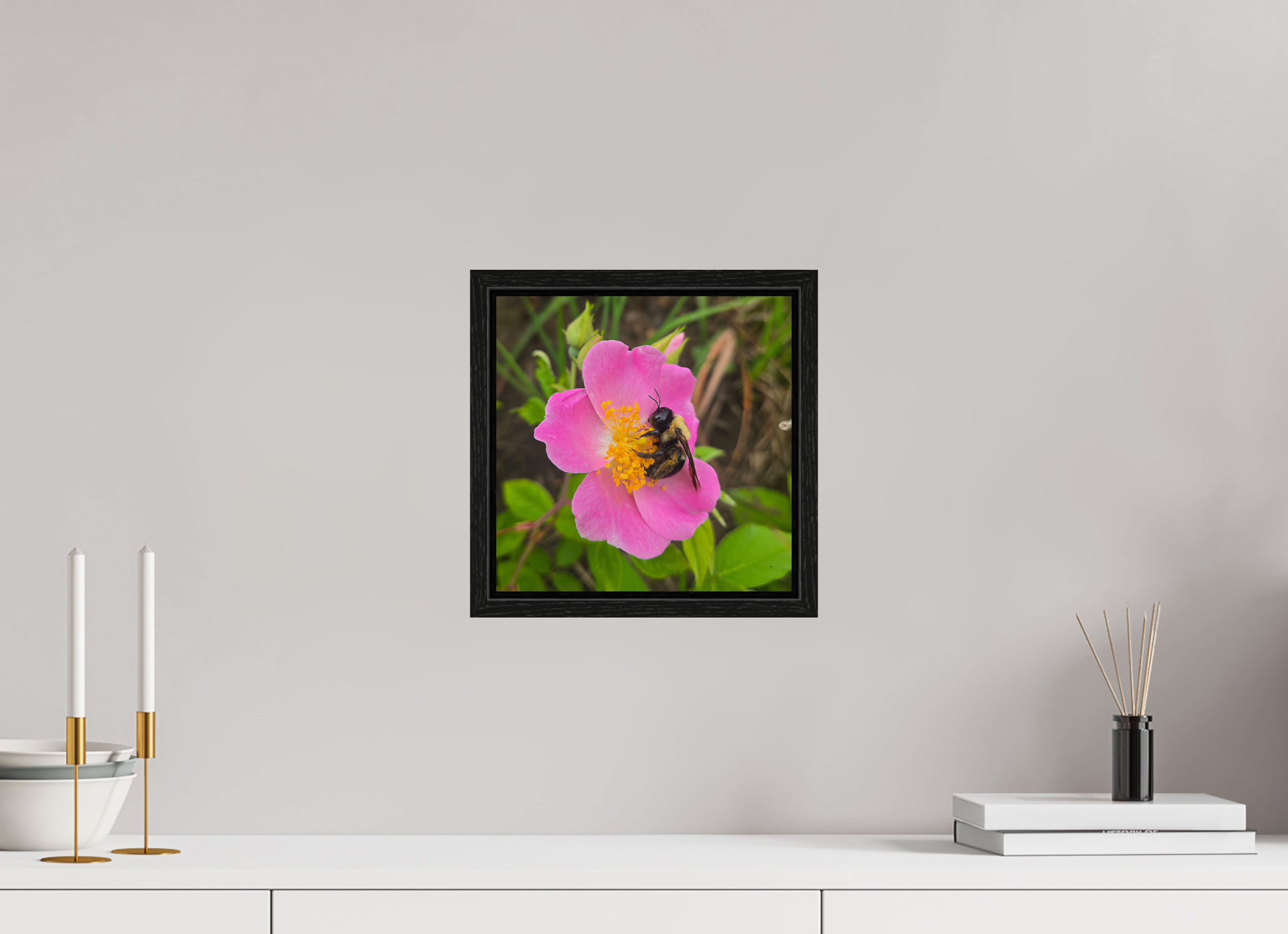 10 x 10″, Floater Frame Pollinator at restt