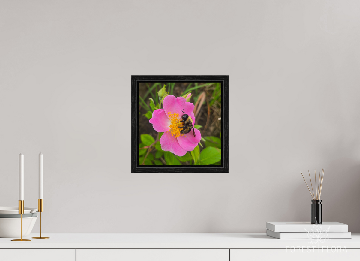 10 x 10″, Floater Frame Pollinator at restt
