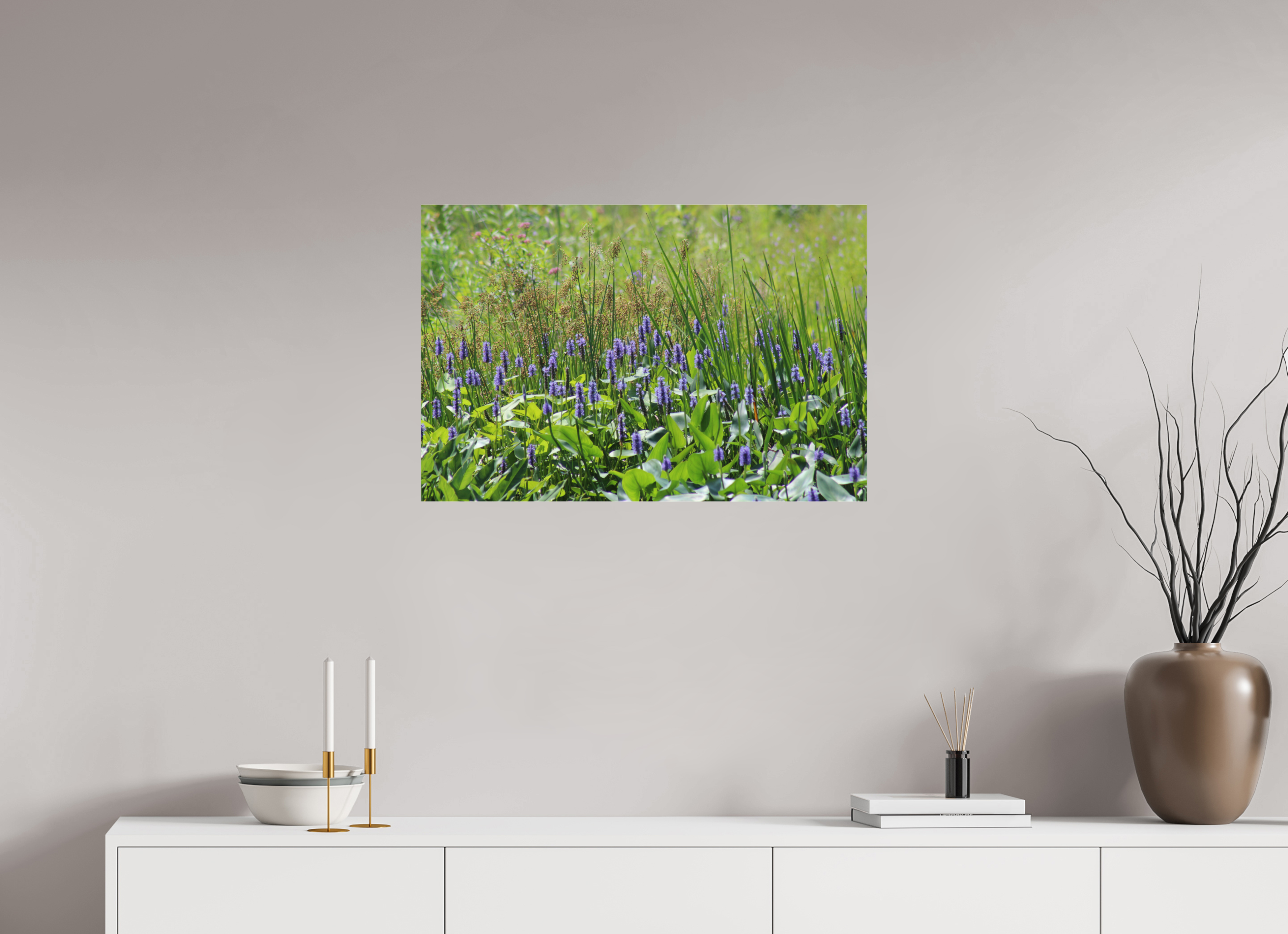 30 x 20″, Photo Print Under Acrylic Glass Pickeralweed pond
