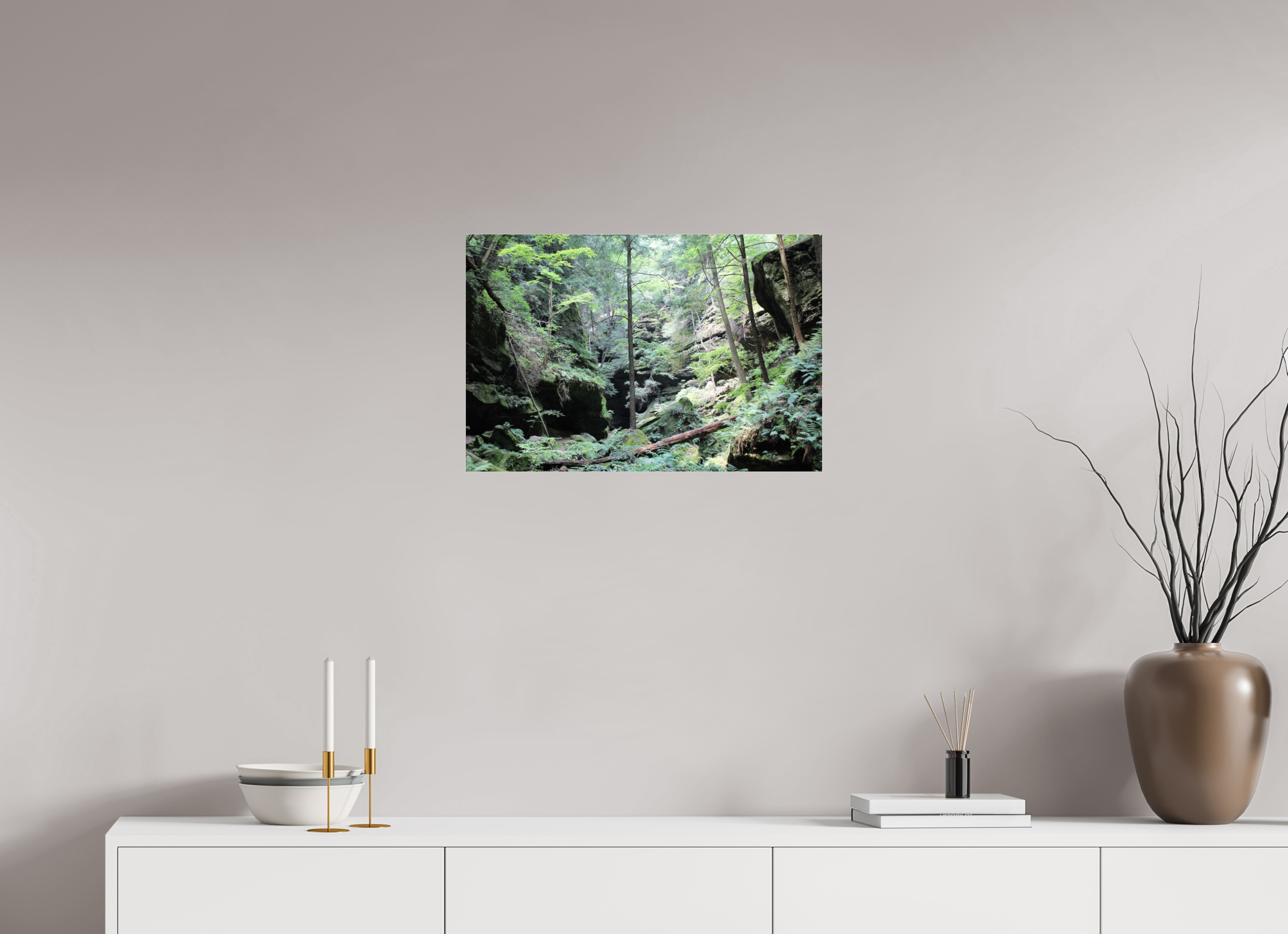 24 x 16″, Photo Print Under Acrylic Glass Woodland trek