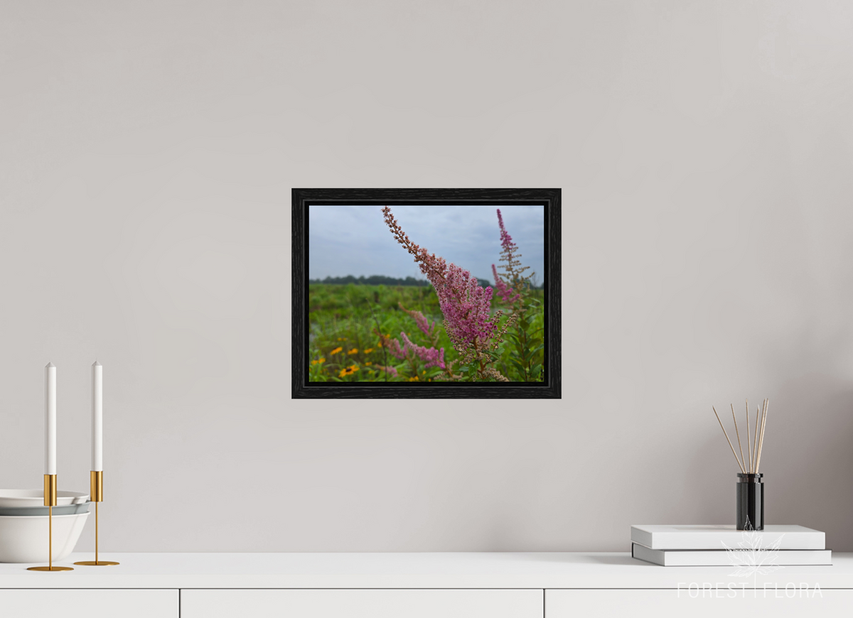 12 x 9″, Floater Frame Spireae Spires