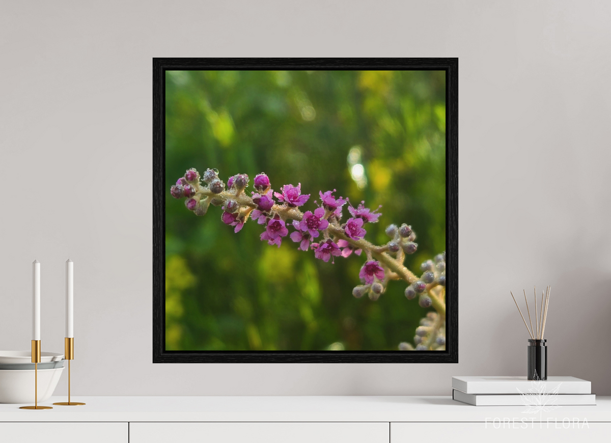 20 x 20″, Floater Frame Meadowsweet dew